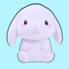 omgkawaii Toys Kawaii Rabbit Squishy